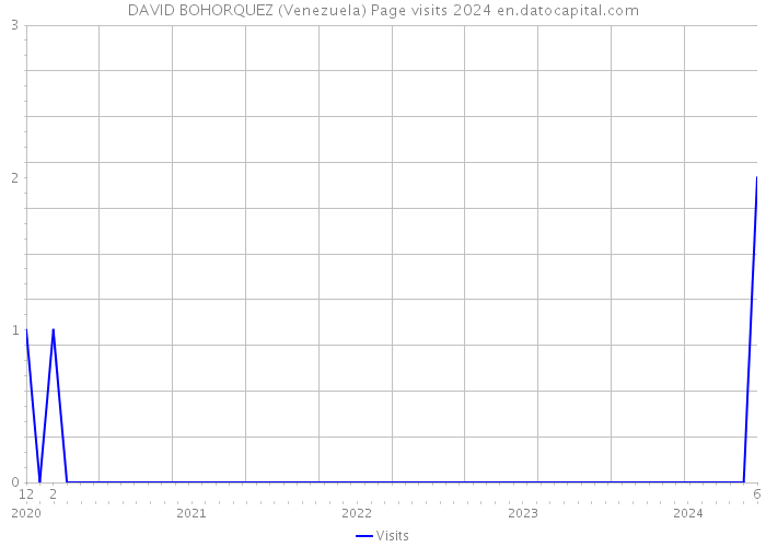 DAVID BOHORQUEZ (Venezuela) Page visits 2024 