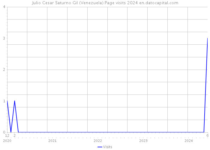 Julio Cesar Saturno Gil (Venezuela) Page visits 2024 