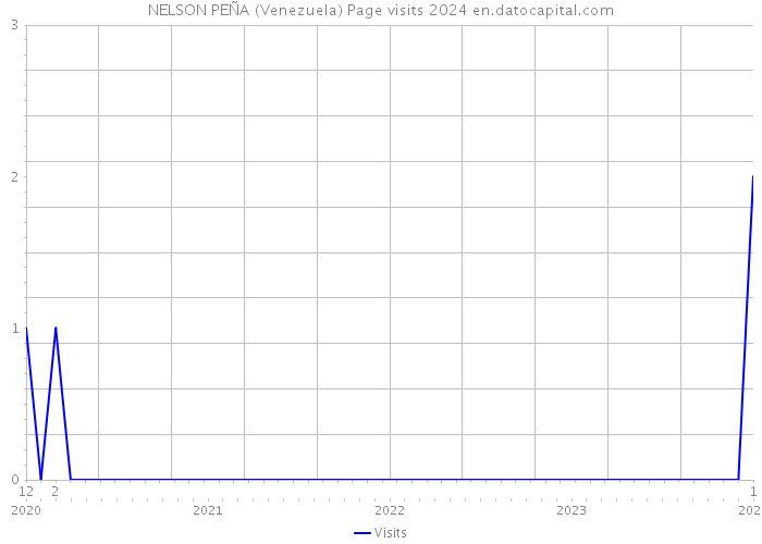 NELSON PEÑA (Venezuela) Page visits 2024 