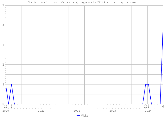 María Briceño Toro (Venezuela) Page visits 2024 