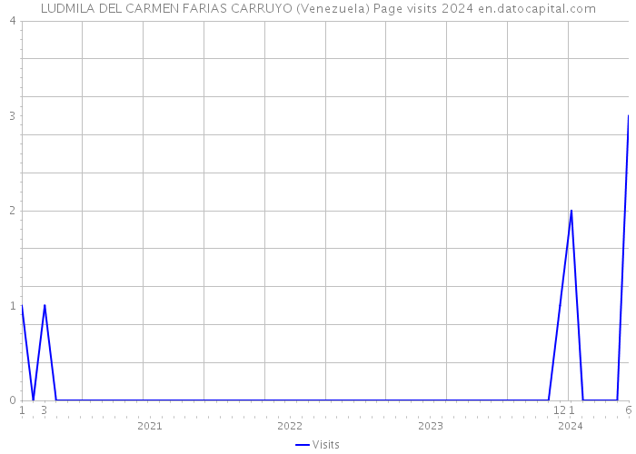 LUDMILA DEL CARMEN FARIAS CARRUYO (Venezuela) Page visits 2024 