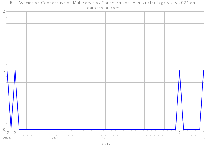 R.L. Asociación Cooperativa de Multiservicios Conshermado (Venezuela) Page visits 2024 