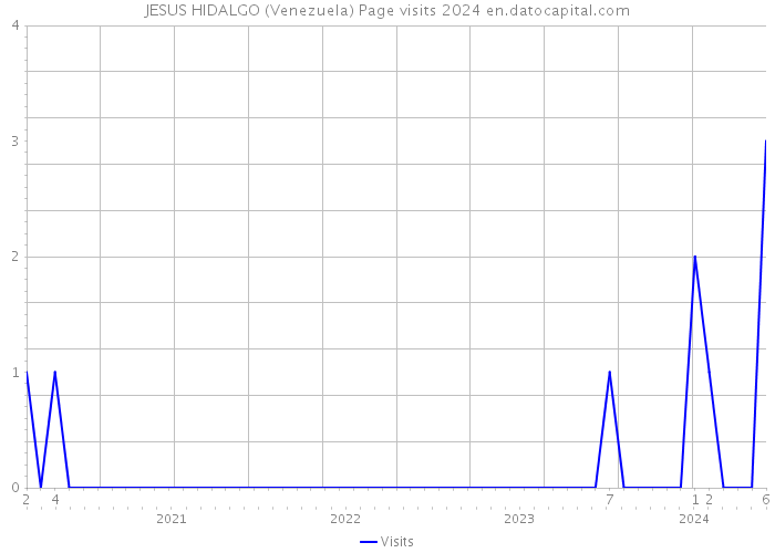 JESUS HIDALGO (Venezuela) Page visits 2024 