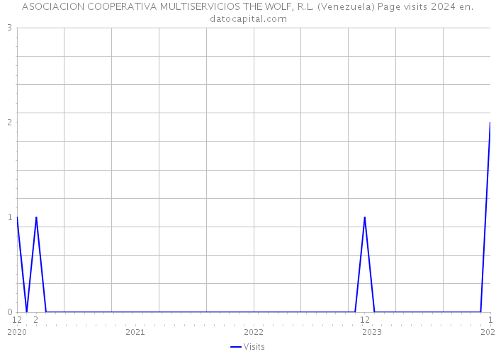 ASOCIACION COOPERATIVA MULTISERVICIOS THE WOLF, R.L. (Venezuela) Page visits 2024 