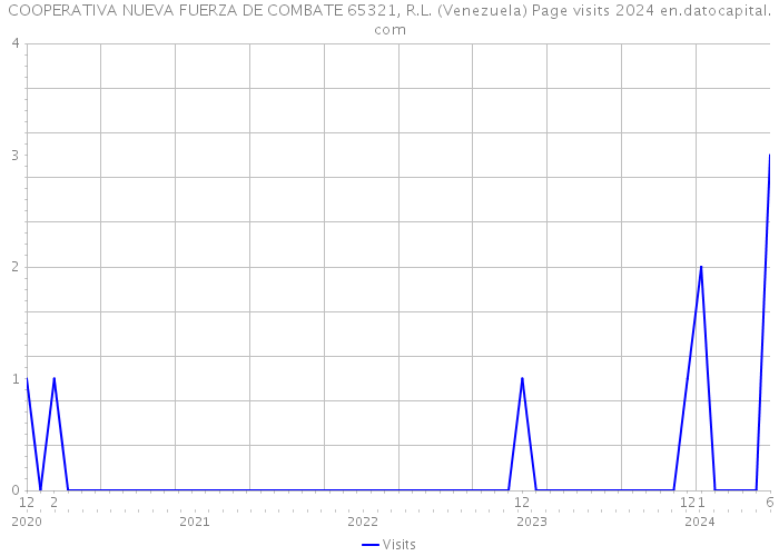 COOPERATIVA NUEVA FUERZA DE COMBATE 65321, R.L. (Venezuela) Page visits 2024 