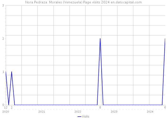 Nora Pedraza Morales (Venezuela) Page visits 2024 