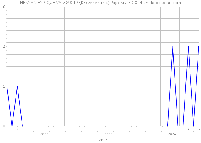 HERNAN ENRIQUE VARGAS TREJO (Venezuela) Page visits 2024 