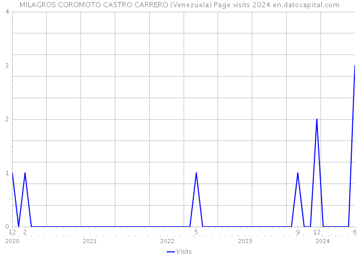 MILAGROS COROMOTO CASTRO CARRERO (Venezuela) Page visits 2024 