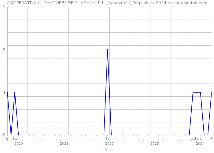 COOPERATIVA LUCHADORES DE GUAYANA, R.L. (Venezuela) Page visits 2024 