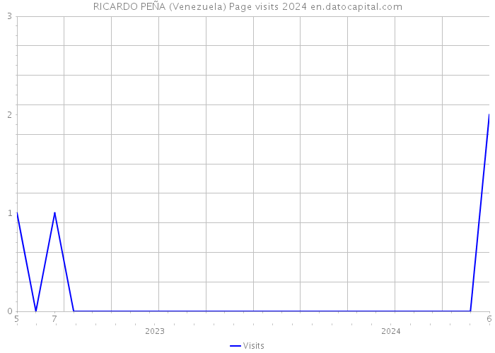 RICARDO PEÑA (Venezuela) Page visits 2024 