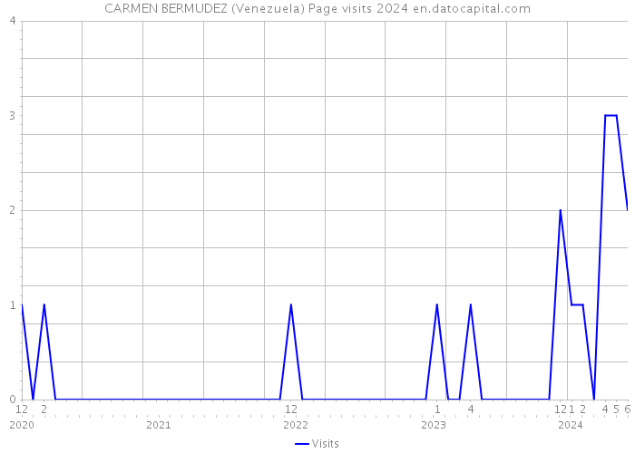 CARMEN BERMUDEZ (Venezuela) Page visits 2024 
