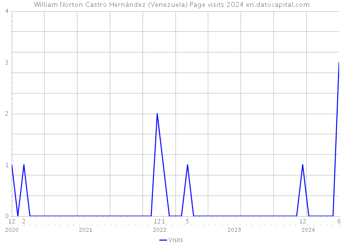 William Norton Castro Hernández (Venezuela) Page visits 2024 