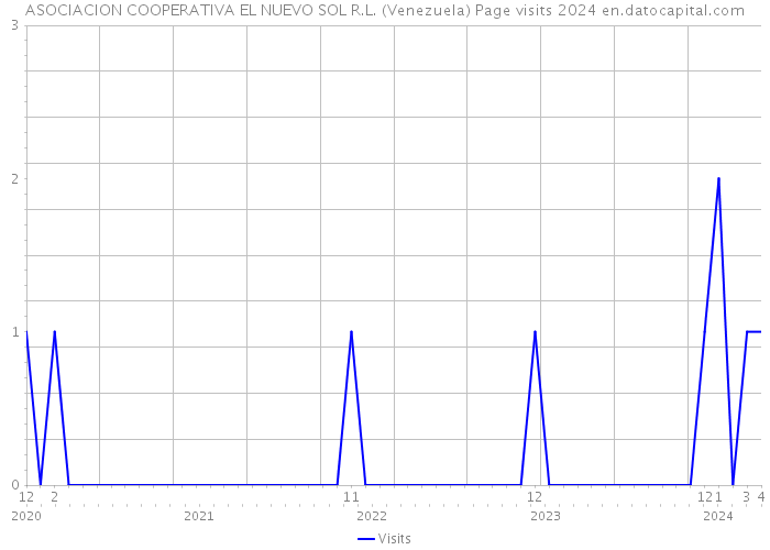 ASOCIACION COOPERATIVA EL NUEVO SOL R.L. (Venezuela) Page visits 2024 