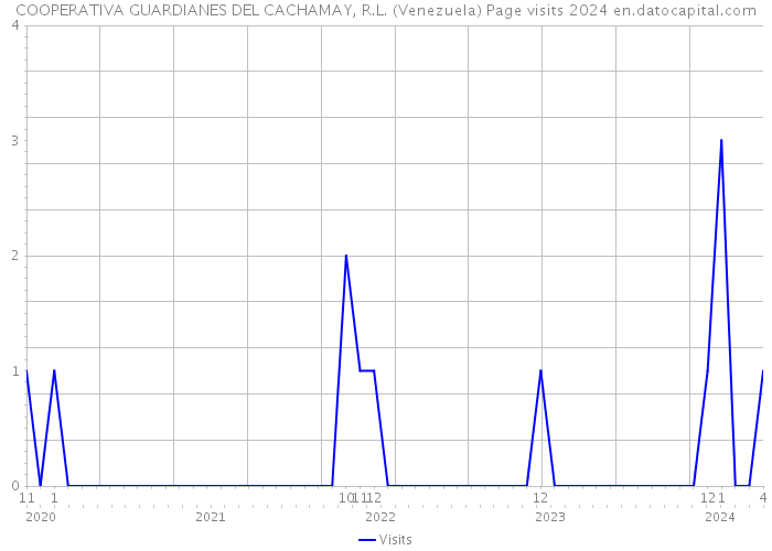 COOPERATIVA GUARDIANES DEL CACHAMAY, R.L. (Venezuela) Page visits 2024 