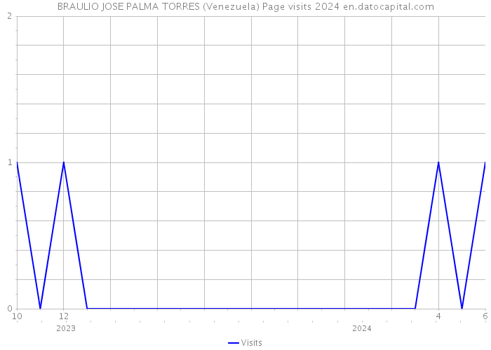 BRAULIO JOSE PALMA TORRES (Venezuela) Page visits 2024 