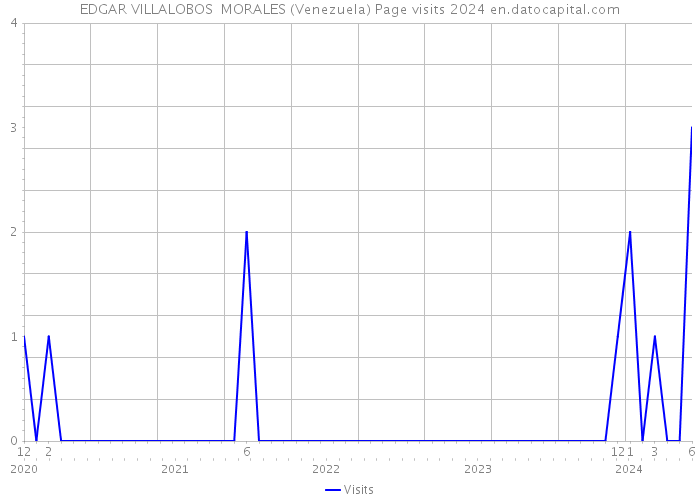 EDGAR VILLALOBOS MORALES (Venezuela) Page visits 2024 