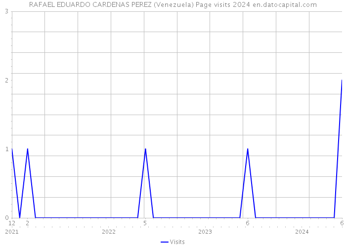 RAFAEL EDUARDO CARDENAS PEREZ (Venezuela) Page visits 2024 