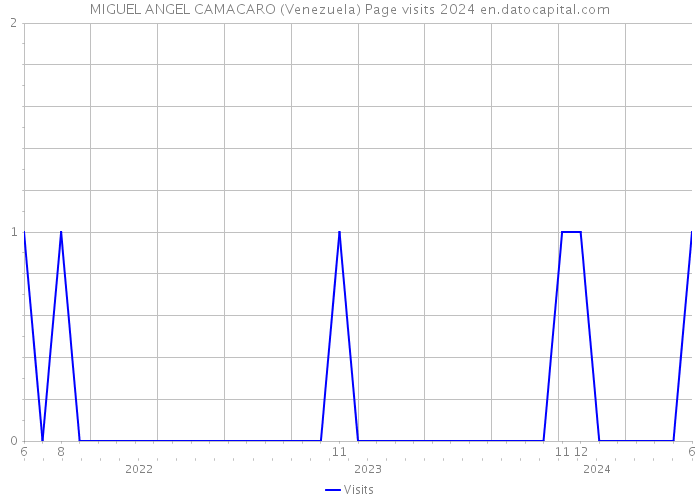 MIGUEL ANGEL CAMACARO (Venezuela) Page visits 2024 