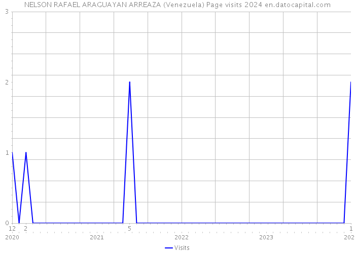 NELSON RAFAEL ARAGUAYAN ARREAZA (Venezuela) Page visits 2024 