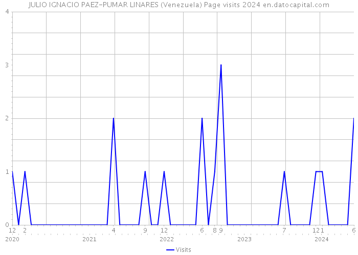 JULIO IGNACIO PAEZ-PUMAR LINARES (Venezuela) Page visits 2024 