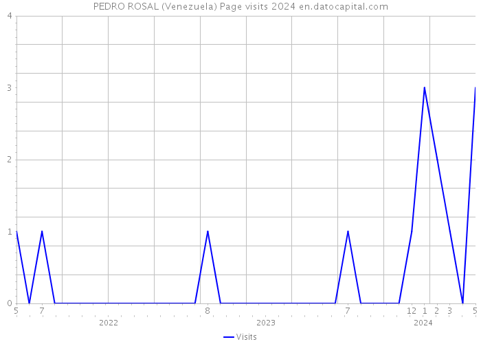 PEDRO ROSAL (Venezuela) Page visits 2024 