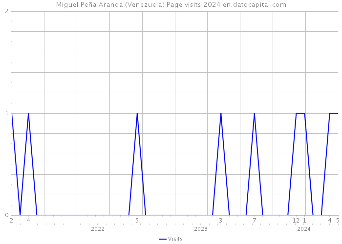 Miguel Peña Aranda (Venezuela) Page visits 2024 