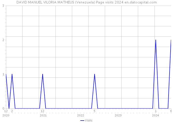 DAVID MANUEL VILORIA MATHEUS (Venezuela) Page visits 2024 