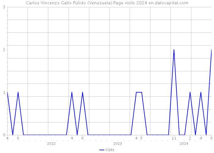 Carlos Vincenzo Gallo Pulido (Venezuela) Page visits 2024 