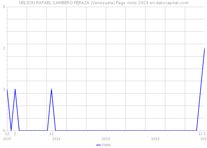 NELSON RAFAEL CAMBERO PERAZA (Venezuela) Page visits 2024 