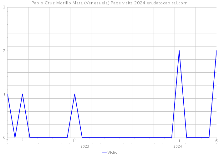 Pablo Cruz Morillo Mata (Venezuela) Page visits 2024 