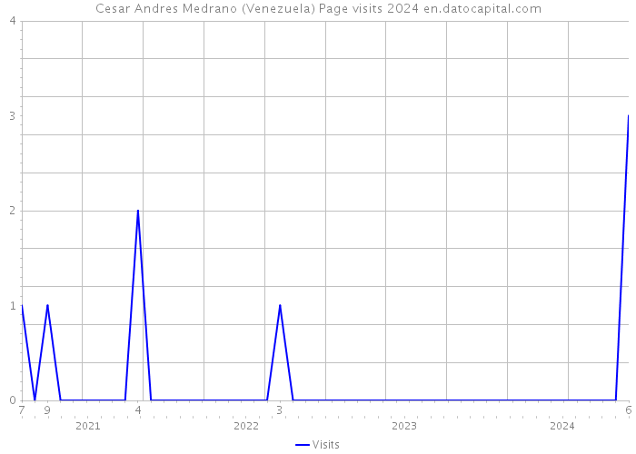Cesar Andres Medrano (Venezuela) Page visits 2024 