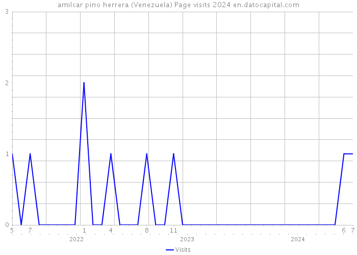 amilcar pino herrera (Venezuela) Page visits 2024 