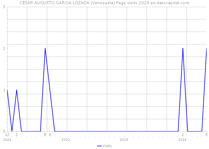 CESAR AUGUSTO GARCIA LOZADA (Venezuela) Page visits 2024 