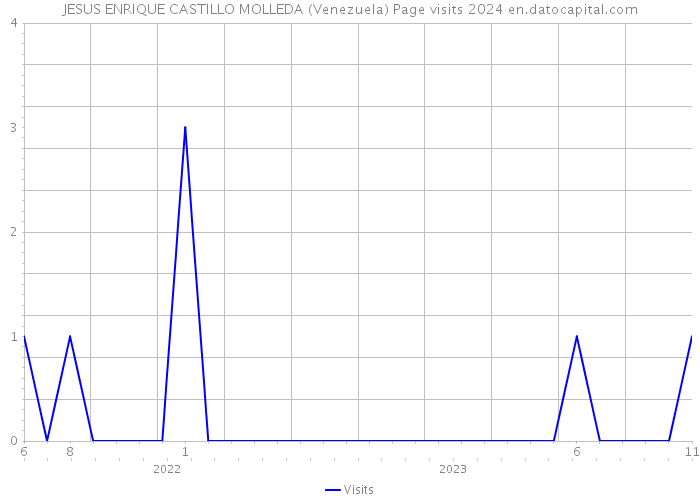 JESUS ENRIQUE CASTILLO MOLLEDA (Venezuela) Page visits 2024 