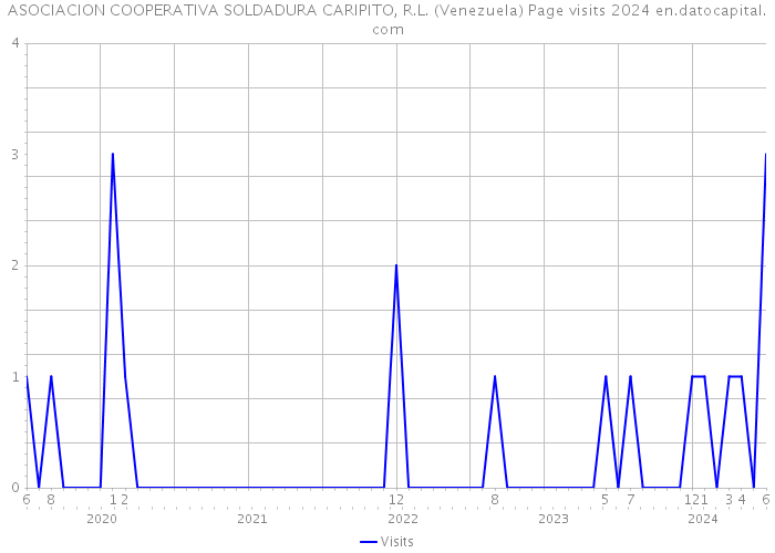 ASOCIACION COOPERATIVA SOLDADURA CARIPITO, R.L. (Venezuela) Page visits 2024 