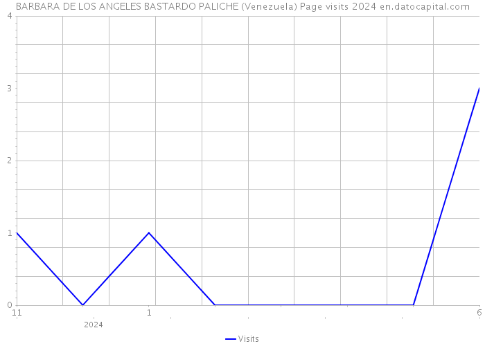 BARBARA DE LOS ANGELES BASTARDO PALICHE (Venezuela) Page visits 2024 