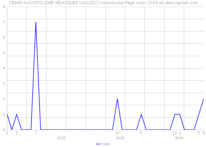 CESAR AUGUSTO JOSE VELASQUEZ GALLUCCI (Venezuela) Page visits 2024 