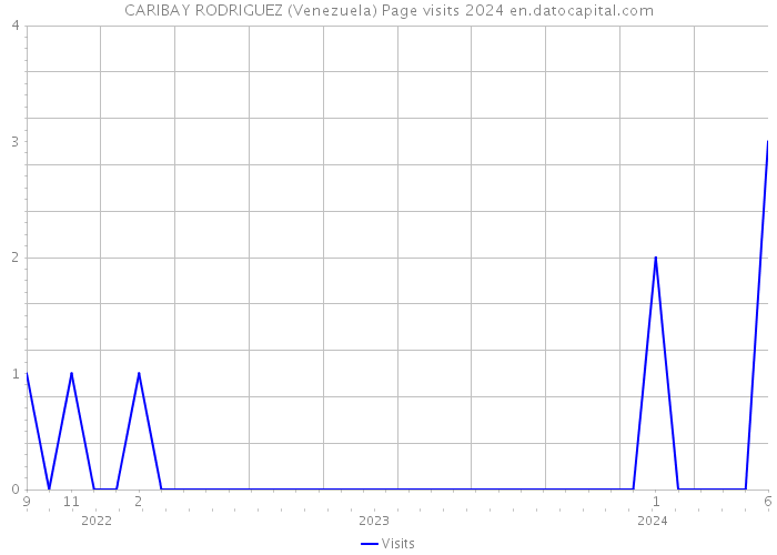 CARIBAY RODRIGUEZ (Venezuela) Page visits 2024 
