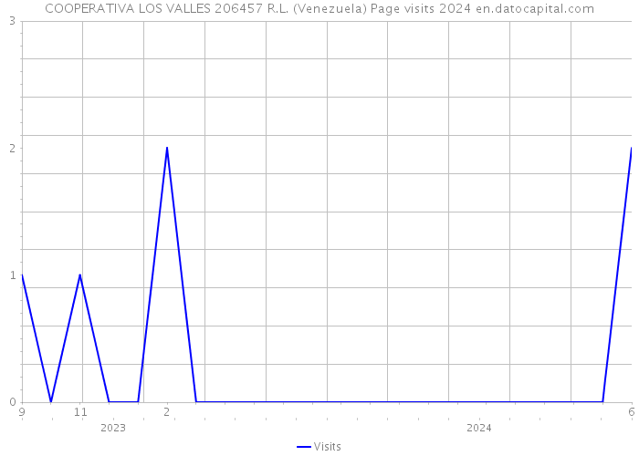 COOPERATIVA LOS VALLES 206457 R.L. (Venezuela) Page visits 2024 