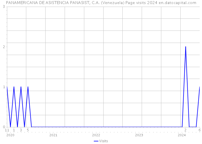 PANAMERICANA DE ASISTENCIA PANASIST, C.A. (Venezuela) Page visits 2024 