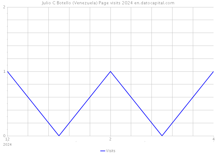 Julio C Botello (Venezuela) Page visits 2024 