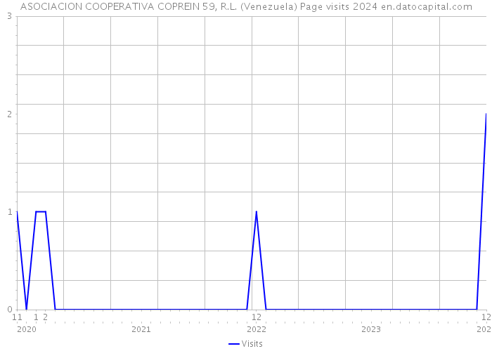 ASOCIACION COOPERATIVA COPREIN 59, R.L. (Venezuela) Page visits 2024 