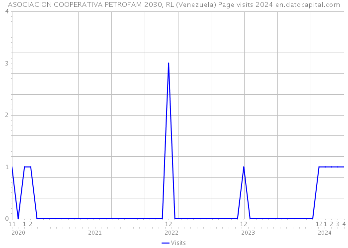 ASOCIACION COOPERATIVA PETROFAM 2030, RL (Venezuela) Page visits 2024 