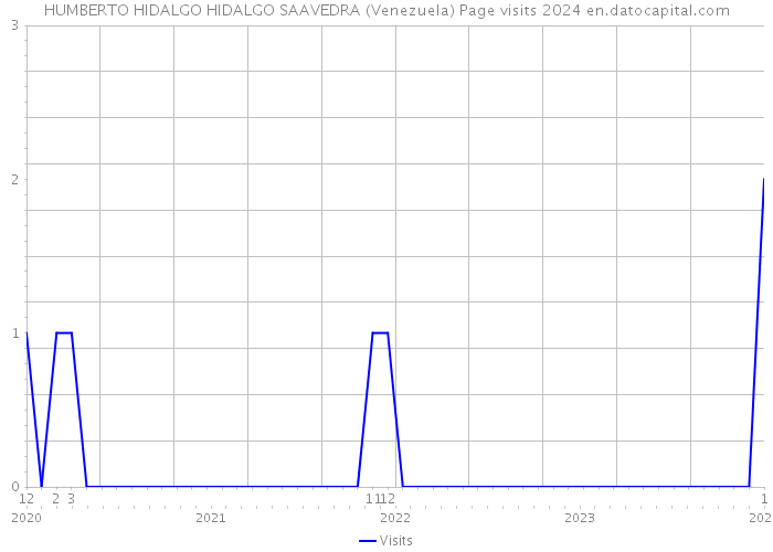 HUMBERTO HIDALGO HIDALGO SAAVEDRA (Venezuela) Page visits 2024 