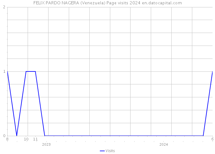 FELIX PARDO NAGERA (Venezuela) Page visits 2024 