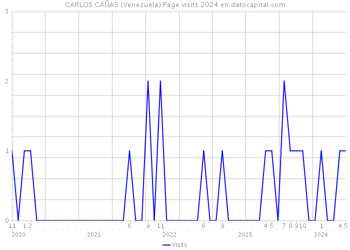 CARLOS CAÑAS (Venezuela) Page visits 2024 
