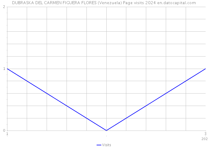 DUBRASKA DEL CARMEN FIGUERA FLORES (Venezuela) Page visits 2024 