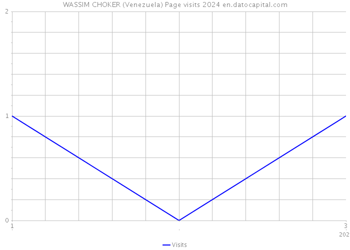 WASSIM CHOKER (Venezuela) Page visits 2024 