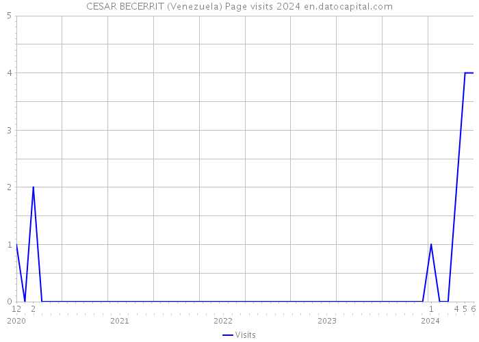 CESAR BECERRIT (Venezuela) Page visits 2024 
