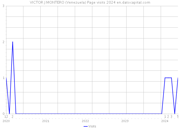 VICTOR J MONTERO (Venezuela) Page visits 2024 